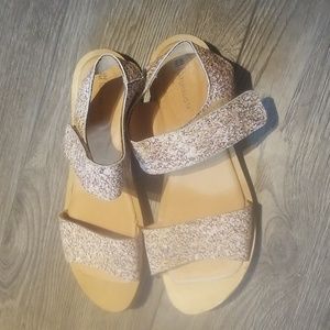 COPY - El naturalista